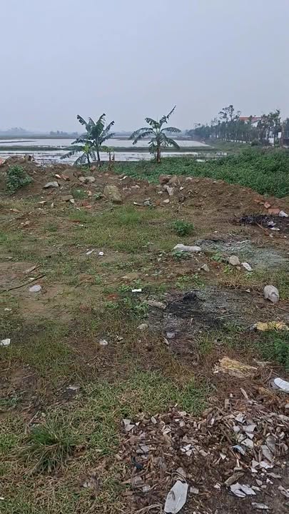 Đất nền Nghi Xuân 220m² giá chỉ 500 triệu - Mặt tiền đường Thành Mỹ