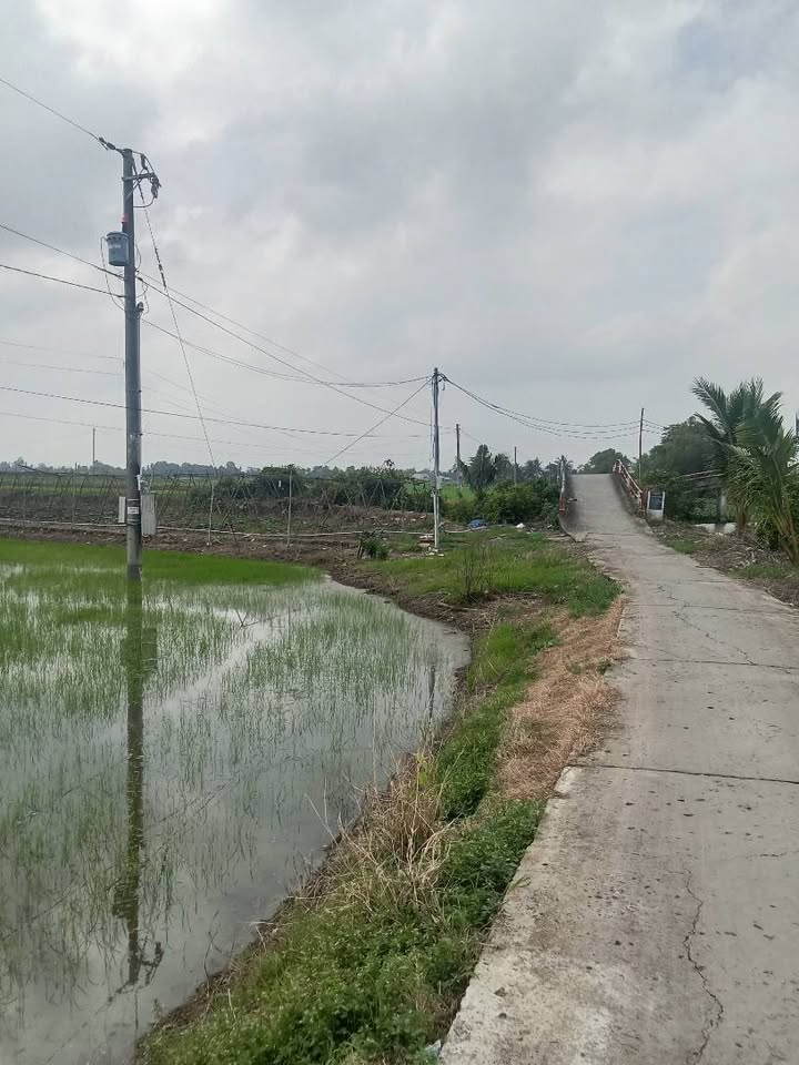 Đất lúa 3.800m² xã Thạnh Lộc, Châu Thành - Giá chỉ 920 triệu, pháp lý rõ ràng!