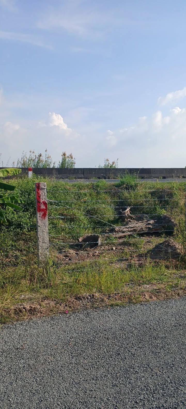 Đất vườn 14.750m² tại Lai Vung, Đồng Tháp - Giá chỉ 7 tỷ VND!