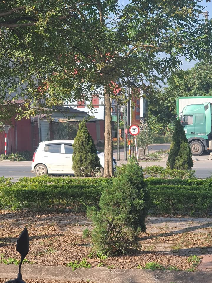 Đất đấu giá Kép Lạng Giang 100m² - Lô đất đẹp gần Quốc lộ 1A!