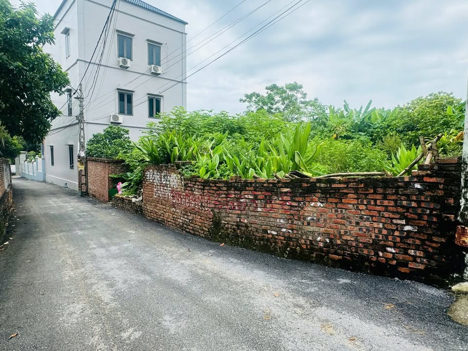 Đất nền phường Đa Mai, Bắc Giang 206m² giá chỉ 2 tỷ - Đầu tư sinh lời ngay!