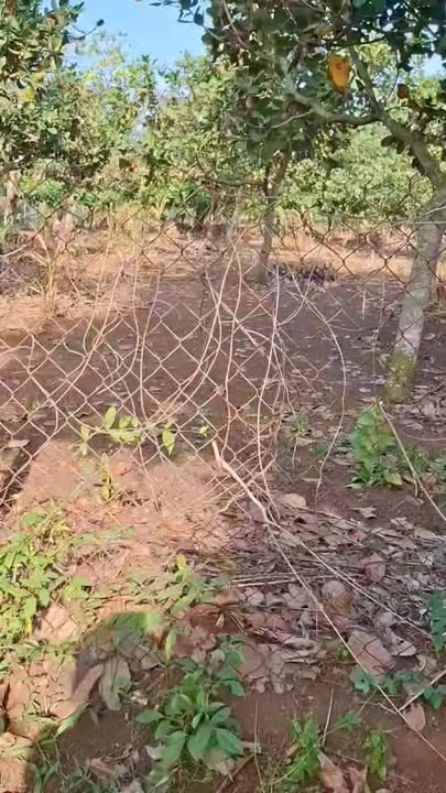 Đất chính chủ 360m² tại ấp 8 Bàu Cạn, Long Thành - Giá 1 tỷ thương lượng