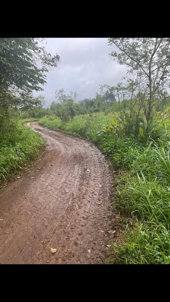 Đất thổ cư xã Ea Drong, Buôn Hồ 60m² giá chỉ 189 triệu - Cơ hội đầu tư hấp dẫn!