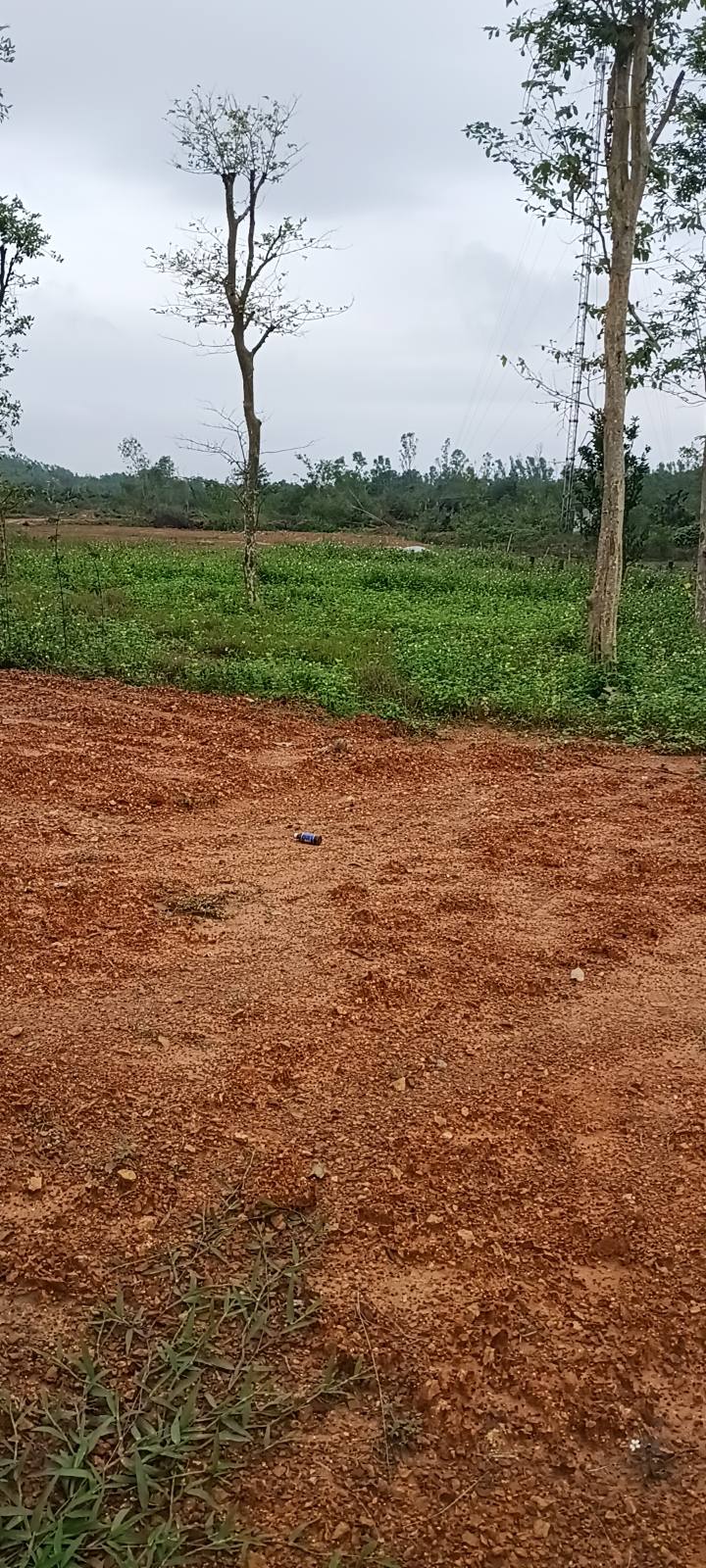 Đất nền Nghi Kiều Nghi Lộc 156.9m² giá 3 tỷ - Vị trí đắc địa cho kinh doanh!