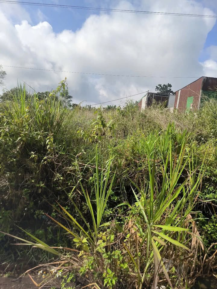 Đất nền Bảo Lộc 540m² giá 3 tỷ - Khu dân cư đông đúc gần trung tâm!