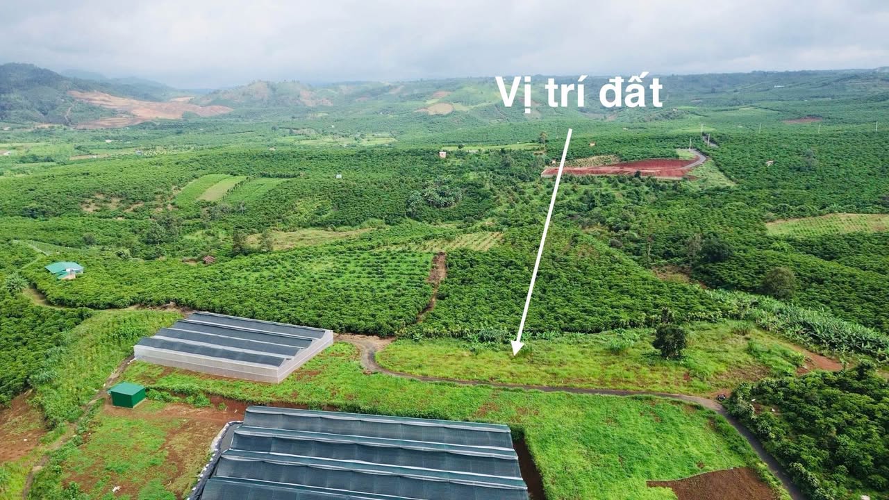 Đất thổ cư Lộc Tiến, Bảo Lộc 515m² giá chỉ 1.3 tỷ - Cơ hội đầu tư lý tưởng!