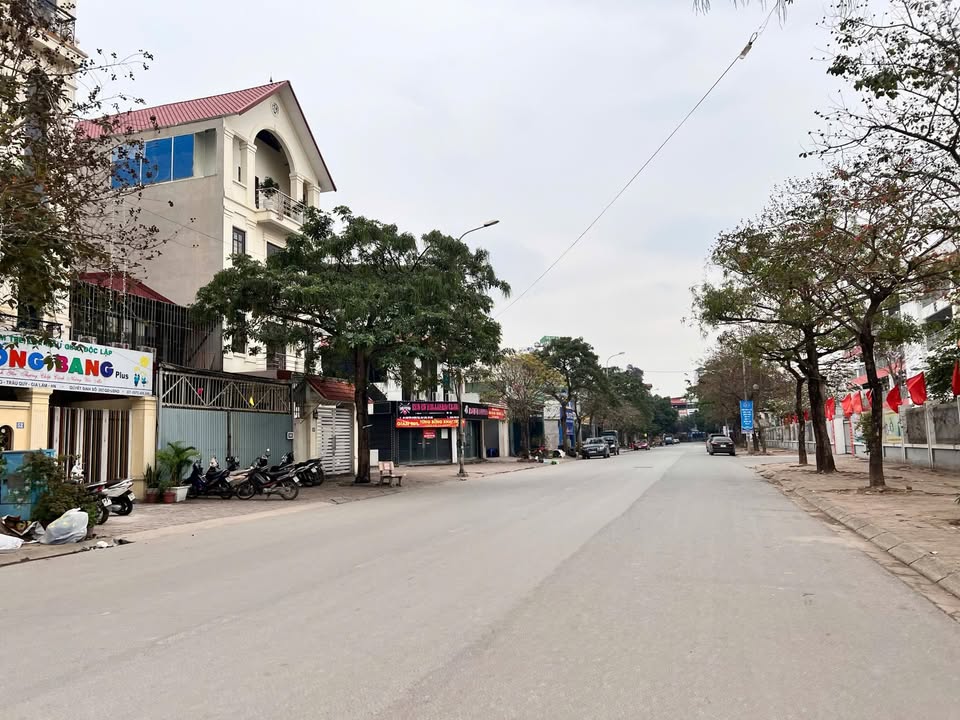 Đất Đấu Giá 236m² Khu Đô Thị 31ha Trâu Quỳ - Pháp Lý Rõ Ràng, Đầu Tư Sinh Lời!