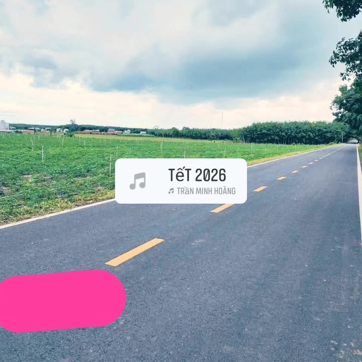 Đất nền 10000m² Tân Hà, Tân Châu - Giá chỉ 1.5 tỷ - Đầu tư sinh lời ngay!