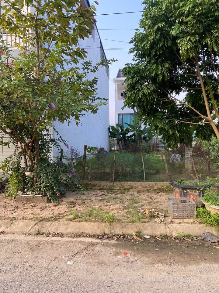 Đất nền 100m² đường Yết Kiêu, Phố Lu, Bảo Thắng - Chỉ 795 triệu, cơ hội vàng đầu tư!