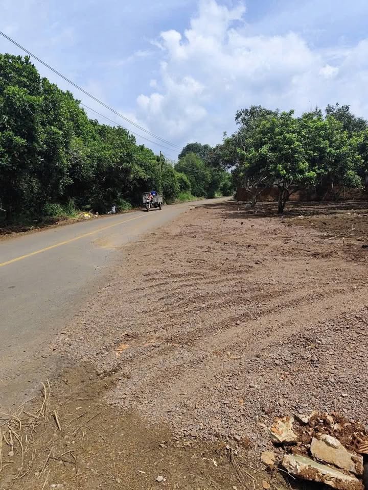 Đất nền Bảo Hòa, Xuân Lộc 195m² giá 950 triệu - Mặt tiền kinh doanh lý tưởng!