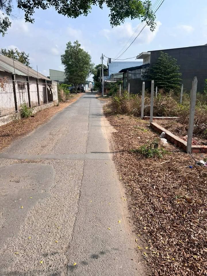 Đất mặt tiền đường 6Đ, xã Vĩnh Lộc A 100m² giá 1.25 tỷ - Đầu tư sinh lời ngay!