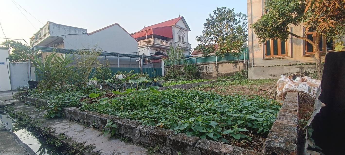 Đất nền Thống Nhất, Thường Tín 49,5m² giá 2 tỷ - Không lỗi phong thủy, ô tô vào tận nơi!