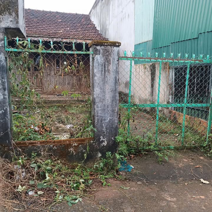 Đất thổ cư 150m² tại xã Ea Ral giá 1.2 tỷ - Sổ đỏ chính chủ!