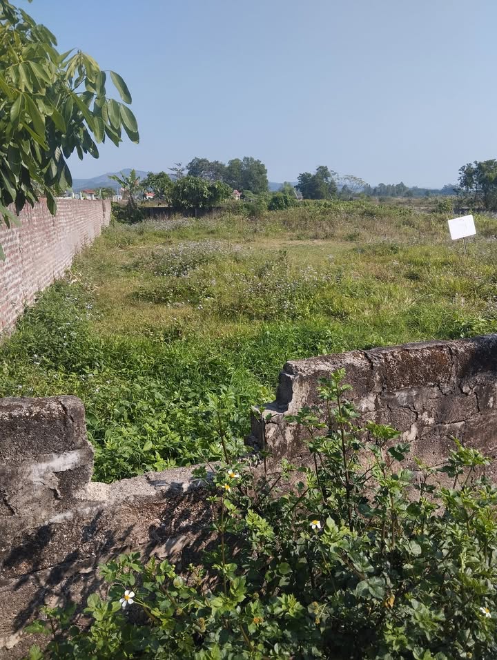 Đất nền Hải Tiến 135m² giá 500 triệu - Cơ hội đầu tư tuyệt vời!