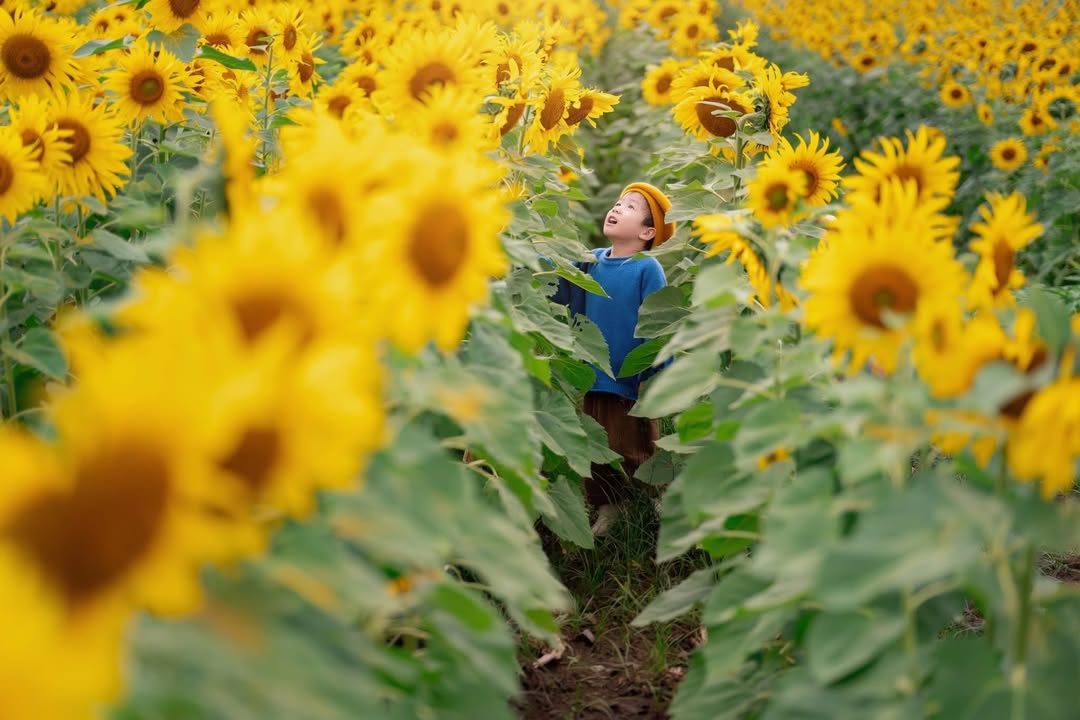 Đất nền Đông Sơn Đô Lương 325m² giá chỉ 400 triệu - Cơ hội đầu tư tuyệt vời!