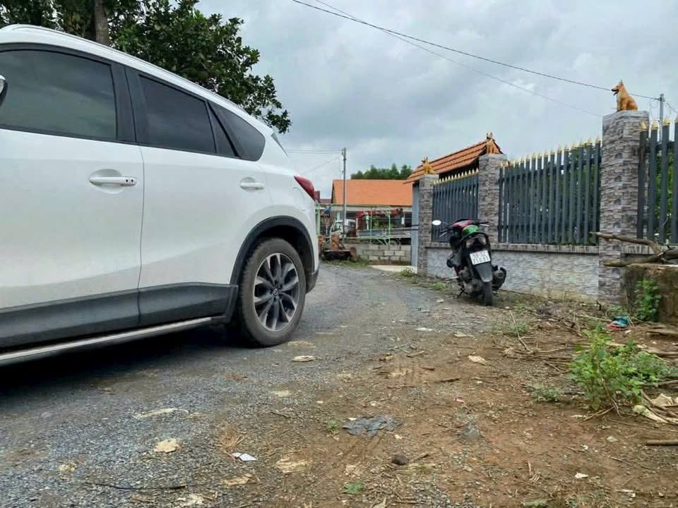 Nhà vườn Thạnh Phú, Vĩnh Cửu 560m² giá 3.6 tỷ - Đầu tư lý tưởng!