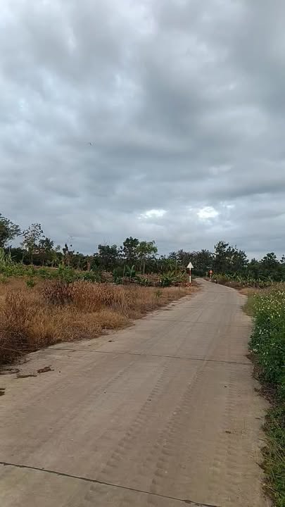 Đất nền Ngọc Định, Định Quán, Đồng Nai 1000m² giá 650 triệu - Khu dân cư mát mẻ!