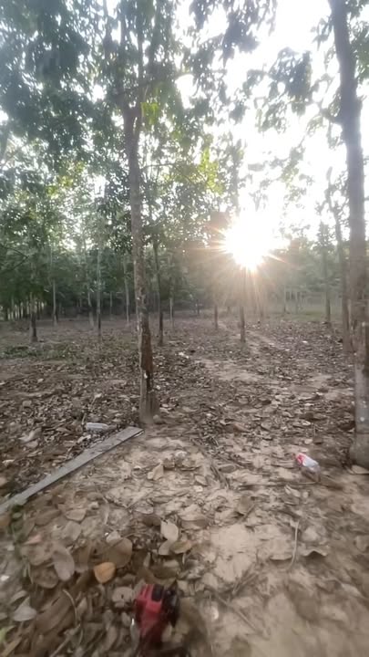 Đất Farm 2,75 Mẫu Tại Tân Minh - Giá Chỉ 6,6 Tỷ - Đầu Tư Sinh Lời Ngay!