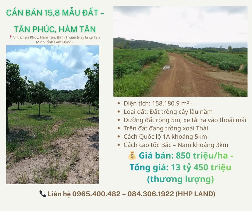 Đất Farm 158.180m² Tân Phúc, Hàm Tân giá 13.45 tỷ - Tiềm năng đầu tư lớn!