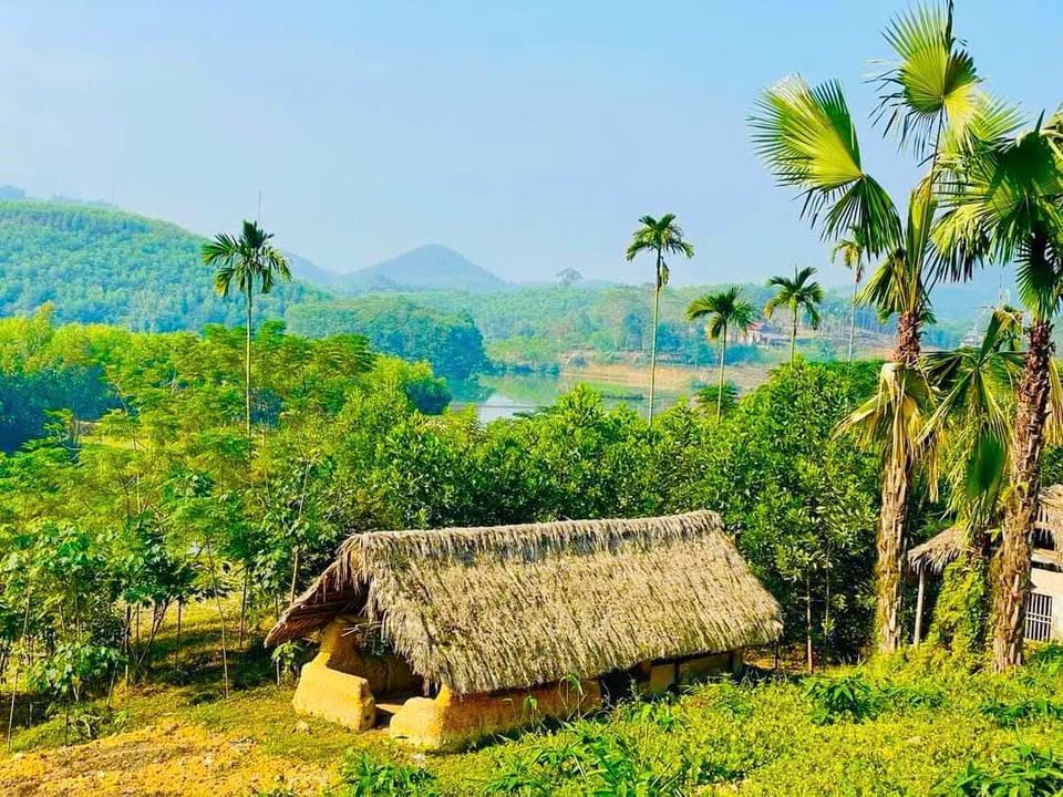 Đất nền đẹp 4800m² tại Phượng Vỹ, Cẩm Khê - Giá chỉ 1 tỷ - Đầu tư sinh lời ngay!