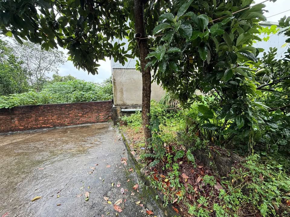 Đất nền Đài Phương, Sơn Tây 135m² giá 1 tỷ - Cơ hội đầu tư hấp dẫn!