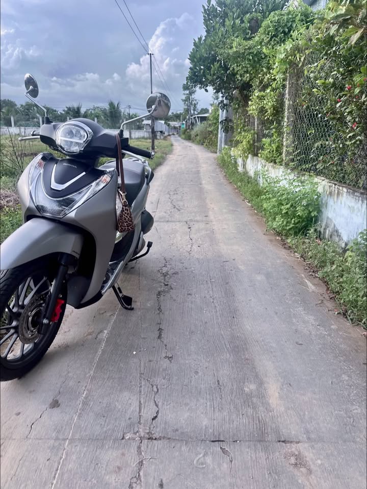 Đất nền Ấp Thanh Hoà, Bình Nghị, Gò Công Đông 274.8m² giá 800 triệu - Đầu tư sinh lời ngay!