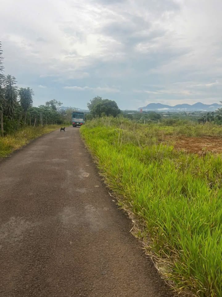 Đất góc 2 mặt tiền Lý Thái Tổ, Bảo Lộc 2000m² giá 4.8 tỷ - Cơ hội đầu tư tuyệt vời!