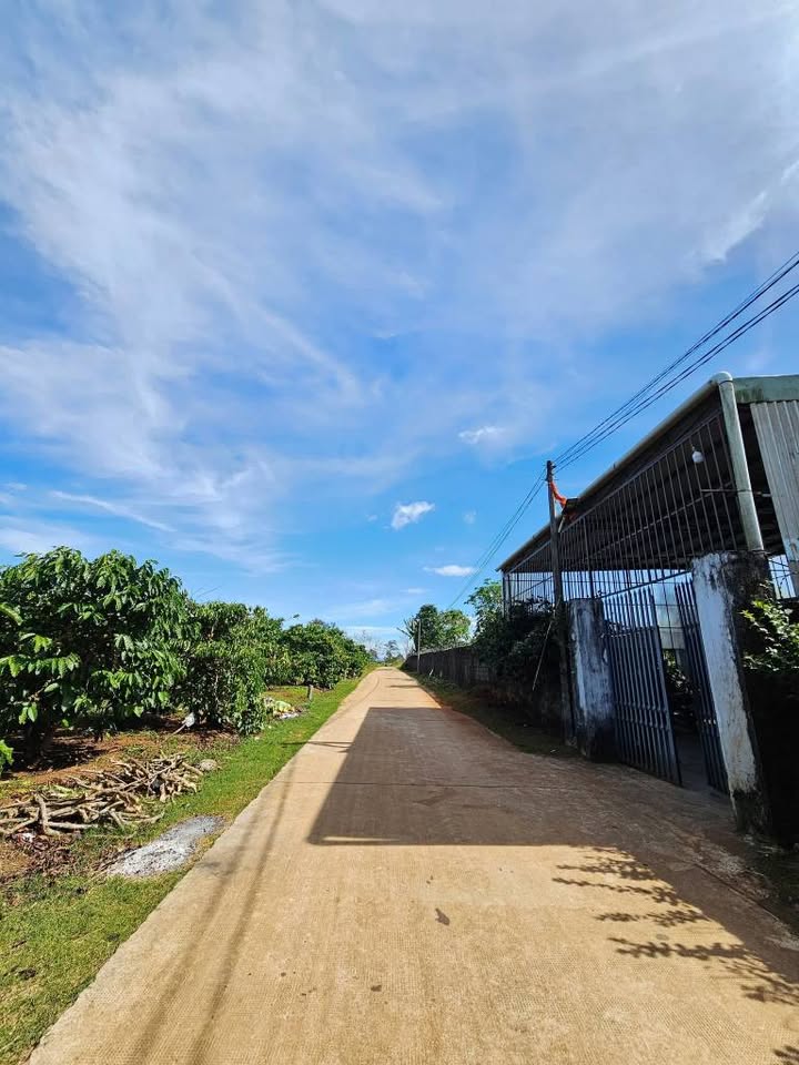 Đất nền Hẻm Lý Chính Thắng, An Phú, 540m² - Giá chỉ 900 triệu!