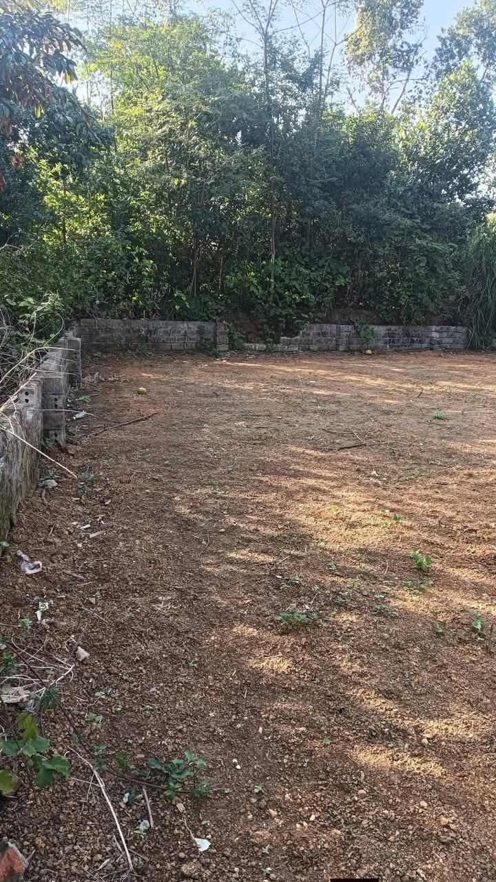 Đất thổ cư 252,8m² tại thôn Nhà Thờ, Kim Sơn, 3,35 tỷ - Bán gấp trong tuần!