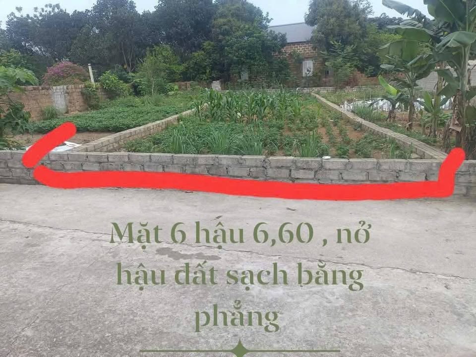 Đất nền Sơn Đông, Sơn Tây 150m² giá 2 tỷ - Cơ hội đầu tư tuyệt vời!