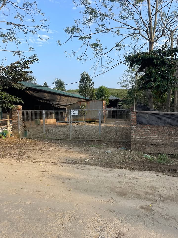 Đất nền xã Minh Đài, Tân Sơn, Phú Thọ 557m² - Cơ hội đầu tư hấp dẫn!