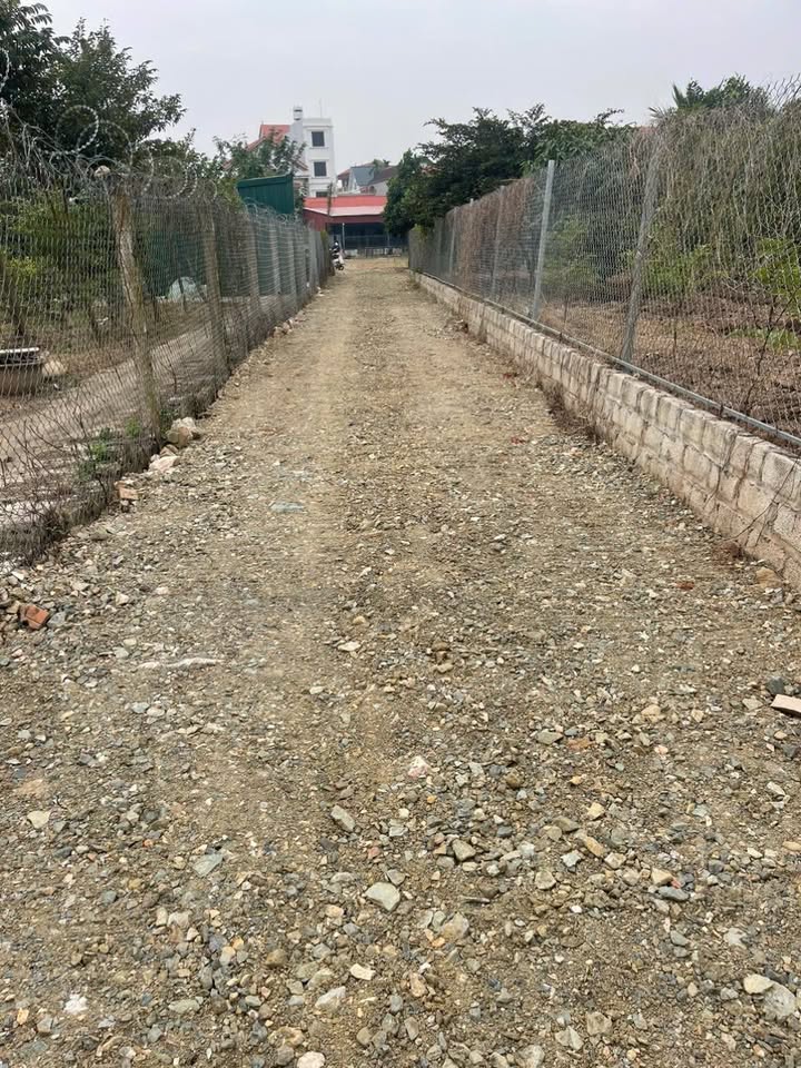 Đất Làng Nghề Triệu Xuyên, Long Xuyên 304m² - Vị trí đắc địa, ô tô vào tận đất!