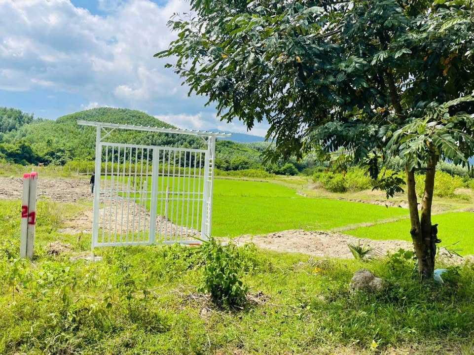 Đất vườn Khánh Hiệp 500m² giá 139 triệu - Cơ hội tuyệt vời cho nhà vườn!