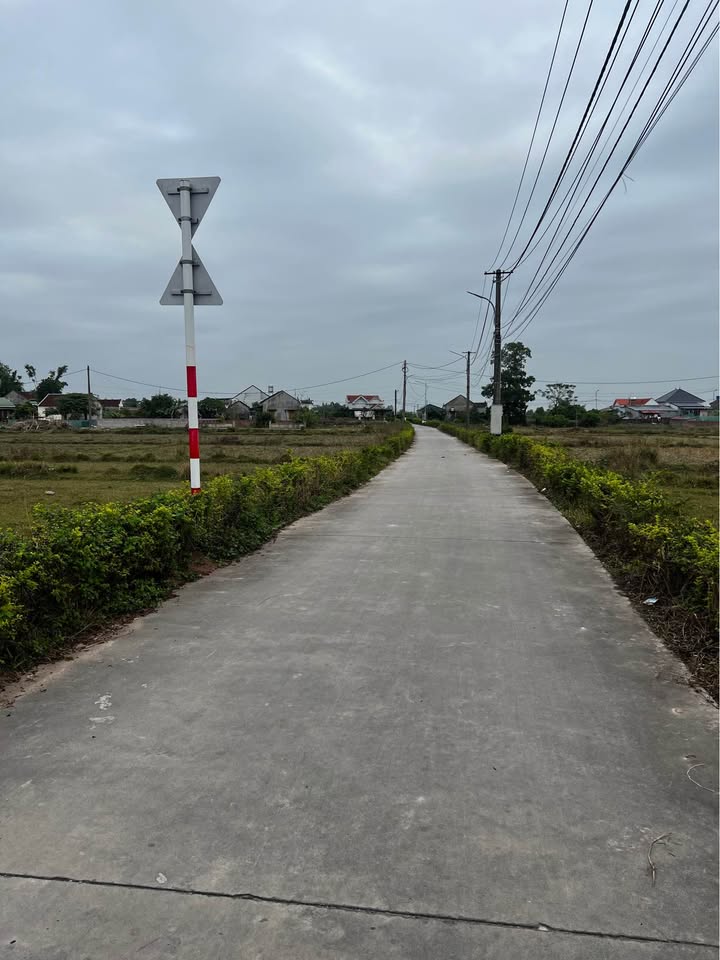 Đất nền Hải Xuân Móng Cái 90,3m² - Hướng Bắc, mặt tiền 5,6m, giá thỏa thuận!