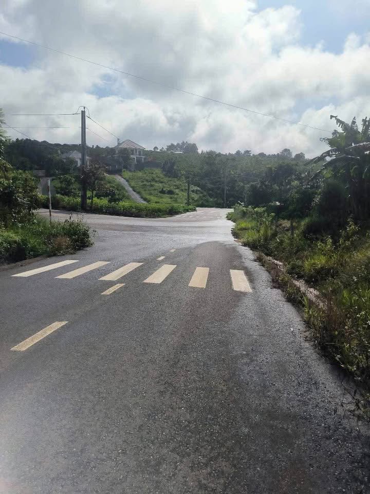 Đất nền mặt tiền đường Nguyễn Tri Phương, Bảo Lộc 540m² - Pháp lý rõ ràng, giá chỉ 3 tỷ!