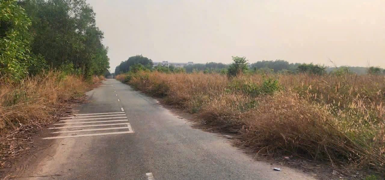 Đất nền đẹp tại Định Hòa, Thủ Dầu Một, Bình Dương 20.000m² - Cơ hội đầu tư sinh lời!