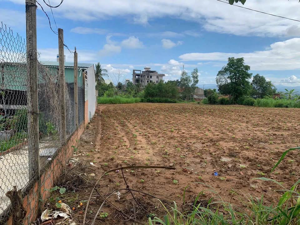 Lô đất Trần Hưng Đạo, Kon Tum 290m² giá 300 triệu - Vị trí đẹp, thổ cư sẵn!