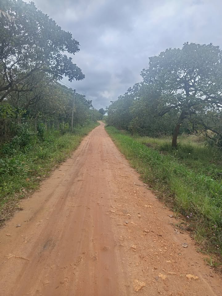 Đất thổ cư Cư Ni Ea Kar 1660m² giá 400 triệu - Đường quy hoạch rộng 15m