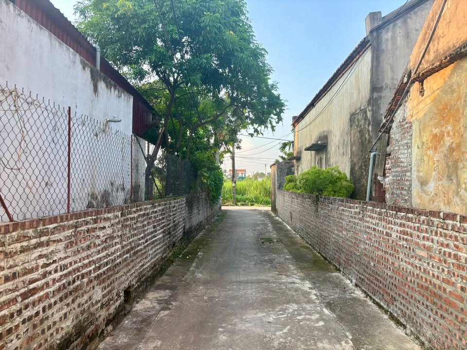 Đất nền lô góc 83,4m² tại Mai Động, Kim Động giá chỉ 1 tỷ - Cơ hội đầu tư hấp dẫn!