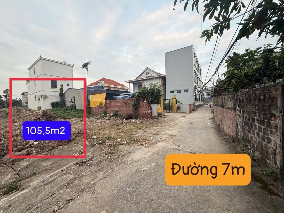 Đất nền Dương Quan, Thủy Nguyên 105.5m² giá 3 tỷ - Vị trí đắc địa, an ninh tốt!