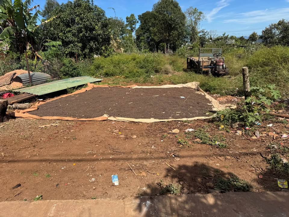 Đất thổ cư Nguyễn Bá Lại, Thắng Lợi 92m² - Đầu tư sinh lời ngay!