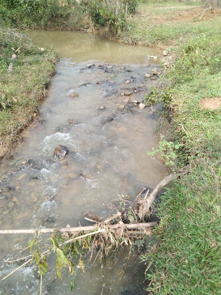 Đất nông nghiệp Quốc Oai 20.000m² giá 3.8 tỷ - Đường ô tô tới nơi!