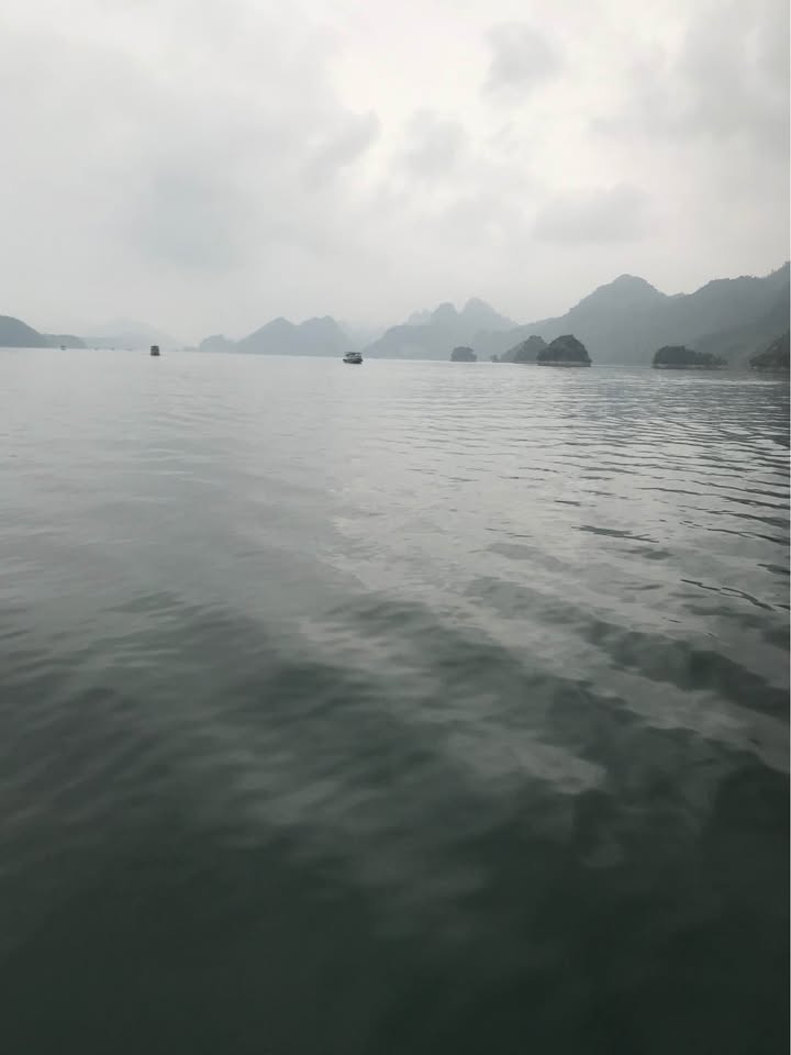 Đất thổ cư Bích Trụ, Thái Thịnh 5000m² - Tiềm năng đầu tư sinh lời cao!