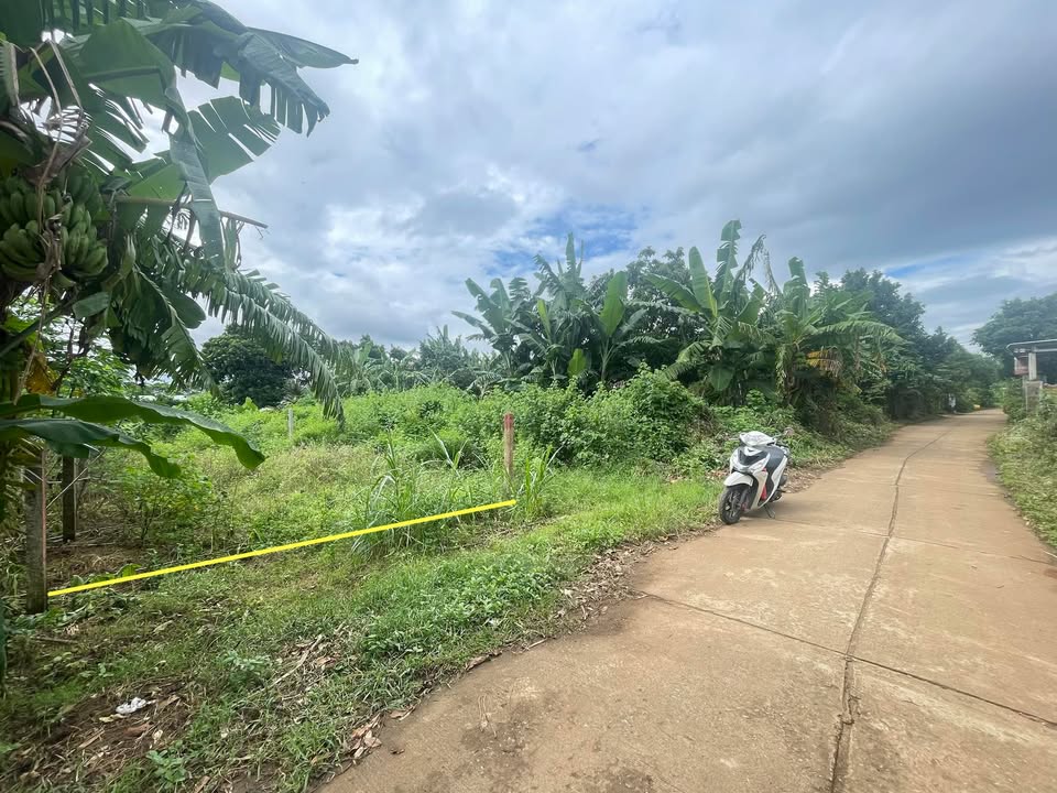 Đất thổ cư Thôn Phú Thịnh, Sơn Thành Đông 133m² - Giá tốt, đầu tư sinh lời!