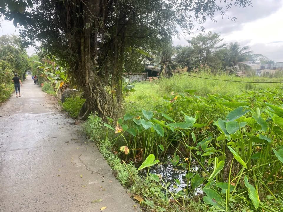 Đất nông nghiệp Đông Thạnh, Hóc Môn 830m² giá 4.5 tỷ - Pháp lý sổ đỏ chính chủ!