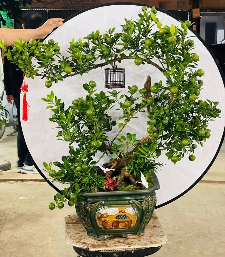 Đất nền Cồn Thoi Kim Sơn 60m² giá thỏa thuận - Cơ hội đầu tư tuyệt vời!