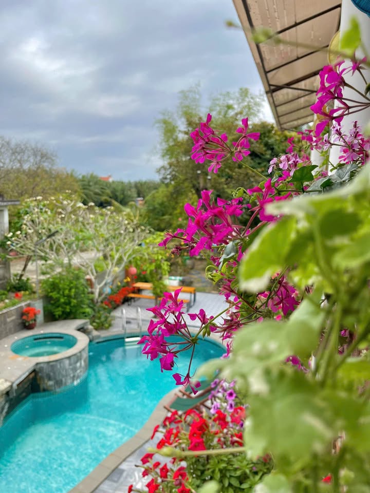 Villa Cẩm Thanh 1500m² giá 30 tỷ - Chính chủ, sẵn sàng giao dịch!