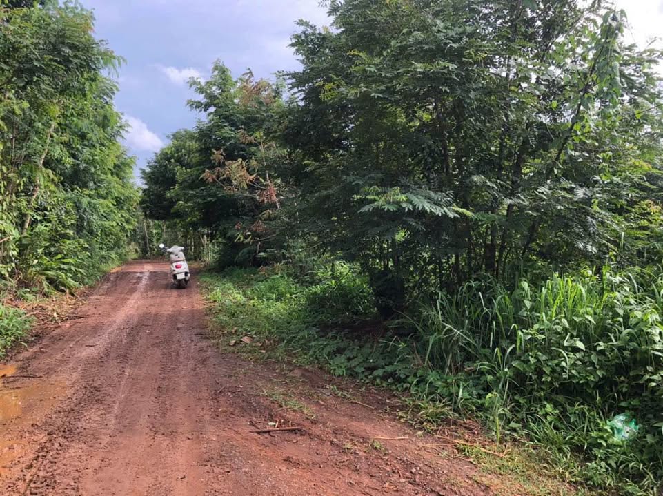 Đất sào 2 mặt tiền Thôn 6 Cư Êbur, 26,300m² giá 1.95 tỷ - Cơ hội đầu tư lý tưởng!