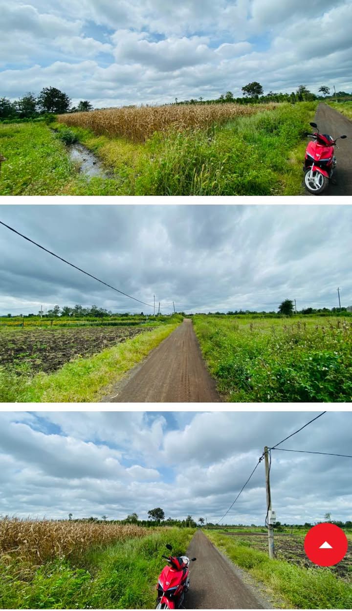 Đất nền Hòa Khánh 4188m² giá 850 triệu - Cơ hội đầu tư hiếm có!