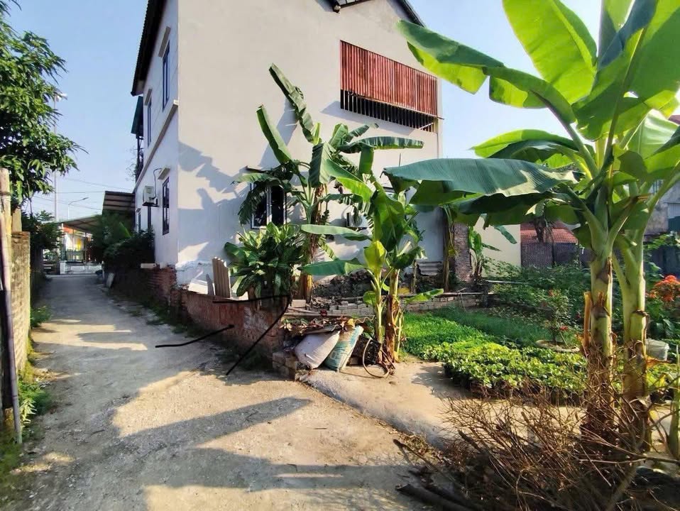 Lô đất Tích Giang 40m² giá 1.3 tỷ - Đầu tư sinh lời ngay!